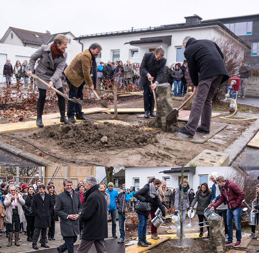 Eichenpflanzung zu Ehren von Joseph Beuys, seit 2015