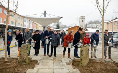 14-12-2018: City Hall Square oak planting in honor of Joseph Beuys.