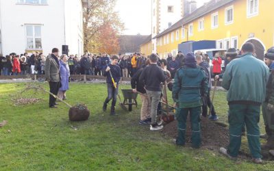 20. November 2019: Schule Schloss Stein: Eichenpflanzung zu Ehren von Joseph Beuys