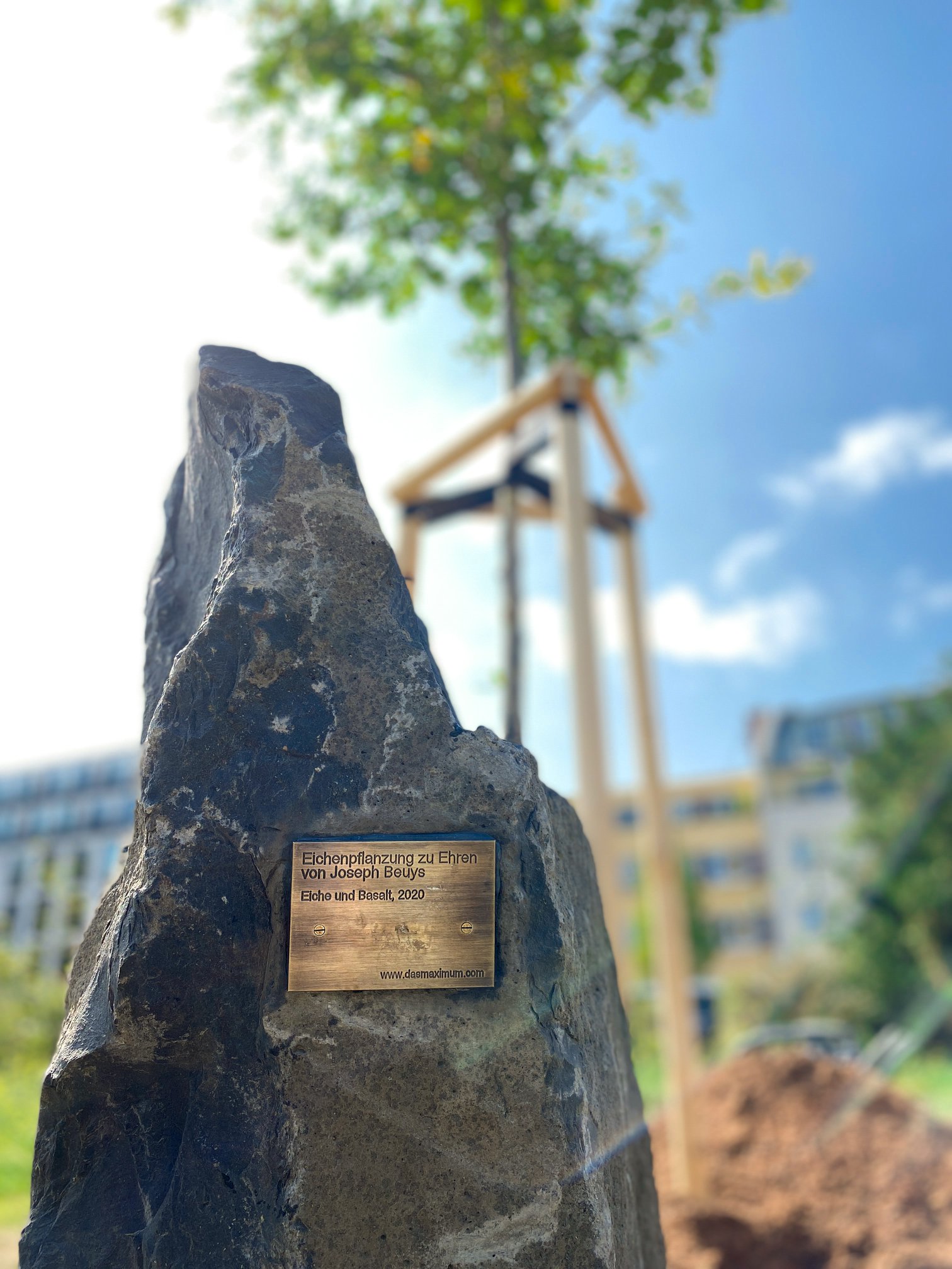 Eichenpflanung_zu_Ehren_von_Joseph_Beuys__Foto_Anne-Sophie_Ebert__HLMD_3