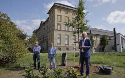 17-09-2020: Planting of oaks in honour of Joseph Beuys at the Hessian State Museum, Darmstadt