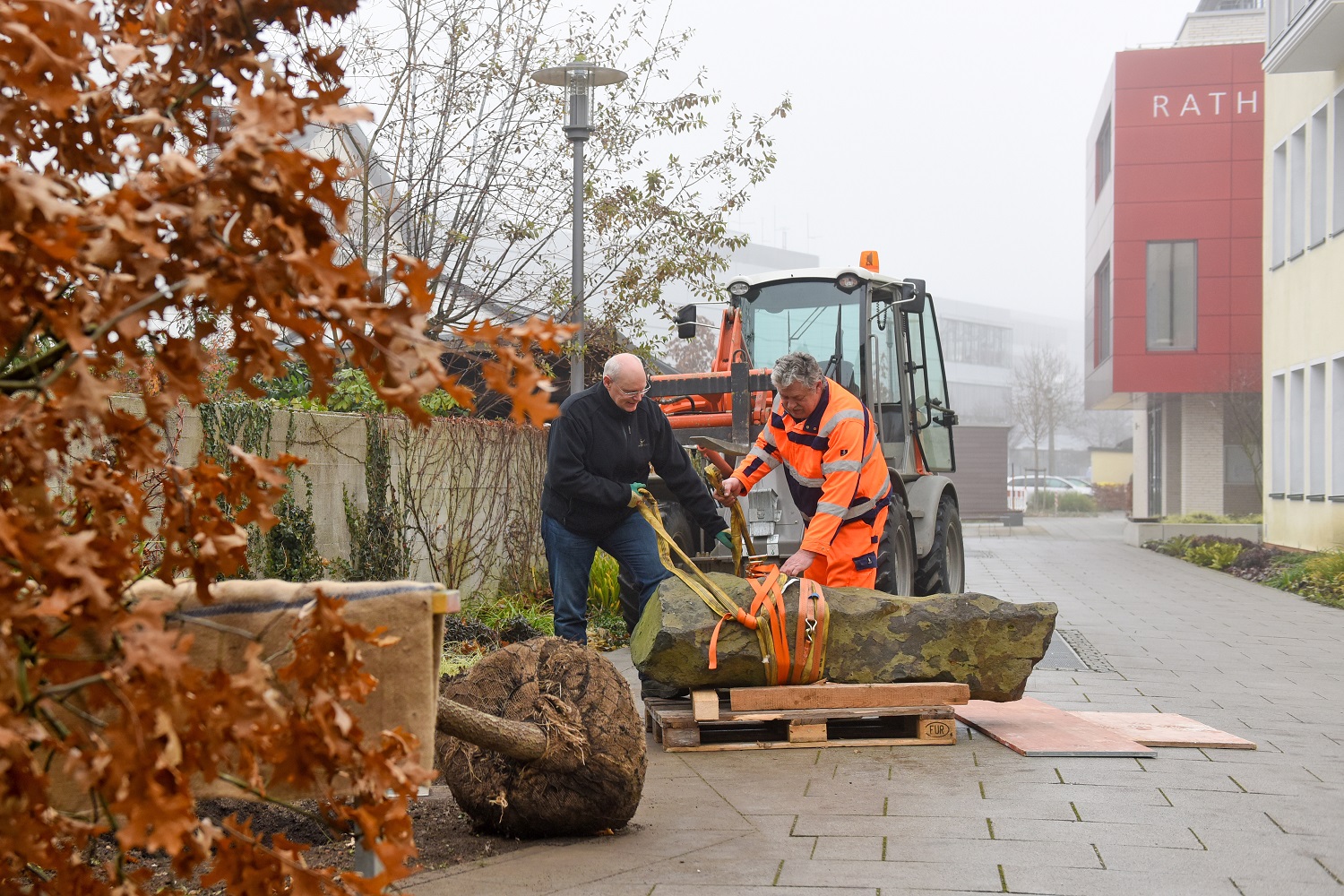 1_Eichenpflanzung Rathausinnenhof_Foto R. Winkler
