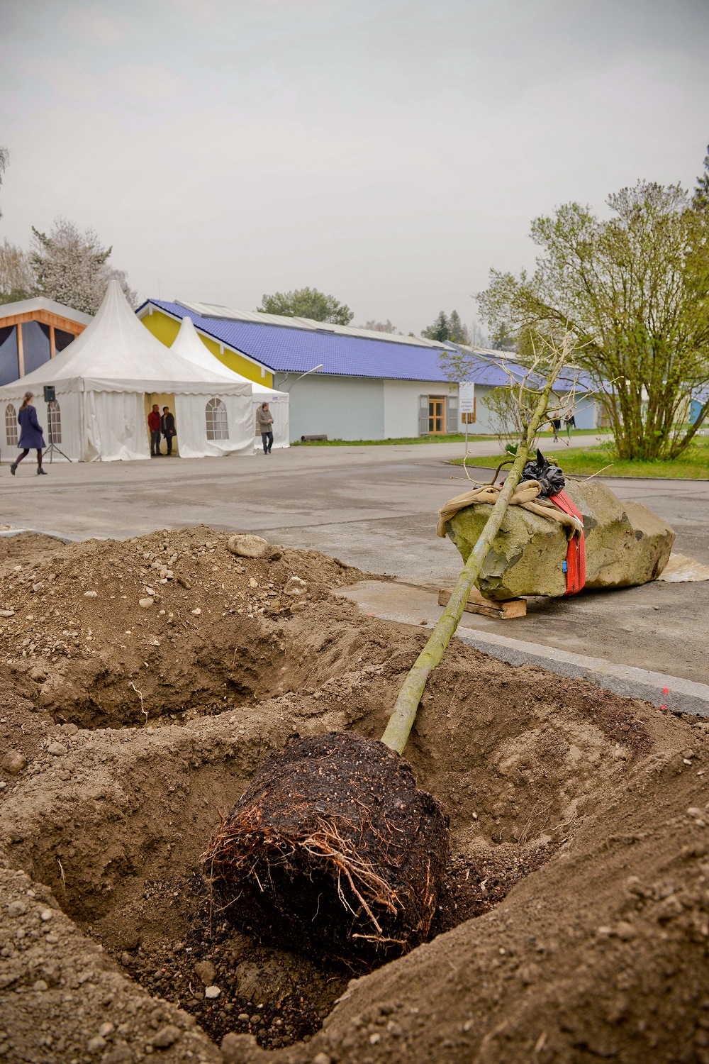 3_Eichenpfl. Nansenstr, (c) Stadt Traunreut, Foto Gastager, R. Winkler