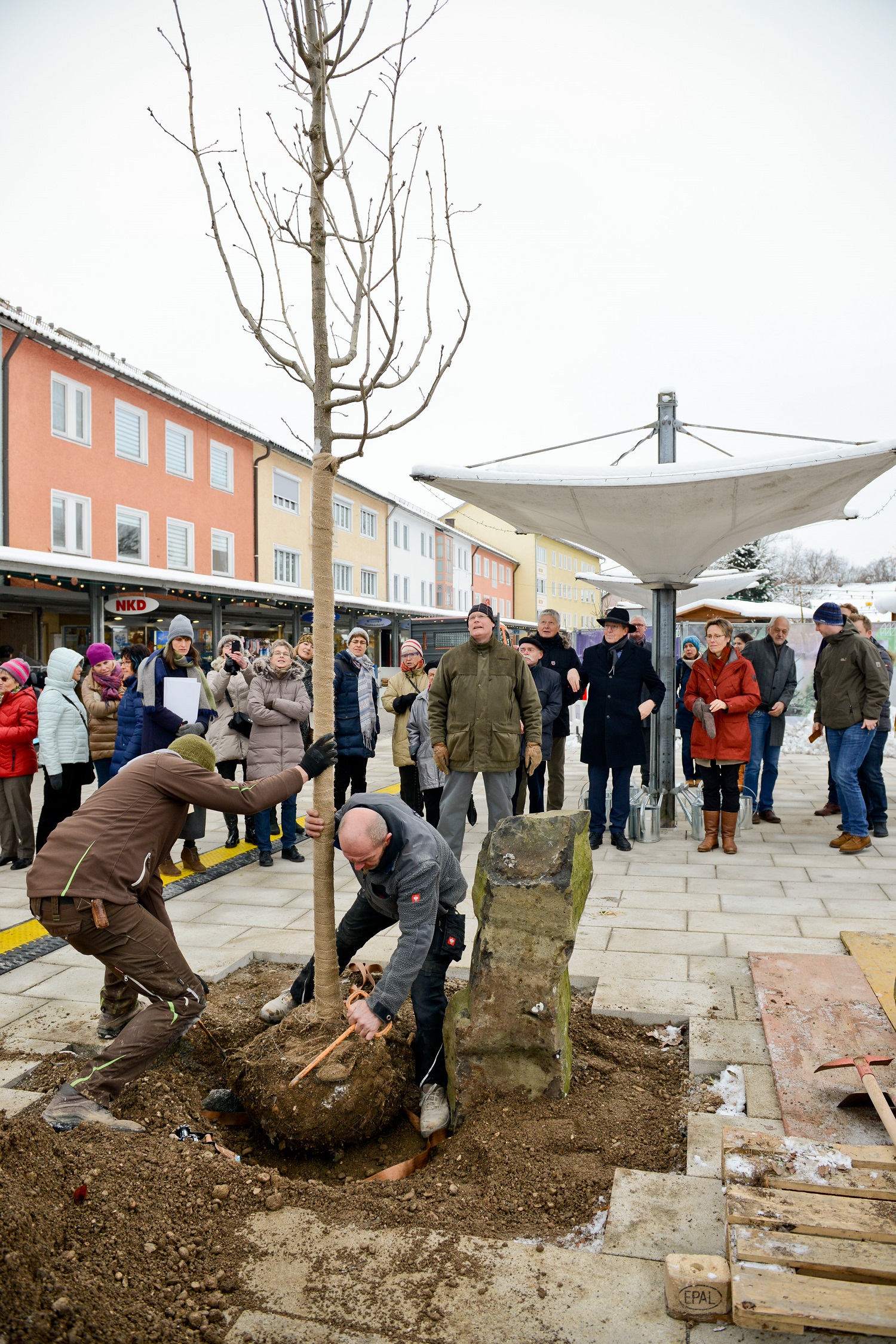 5_2018_12_14 B63 Eichenpflanzung Rathausplatz