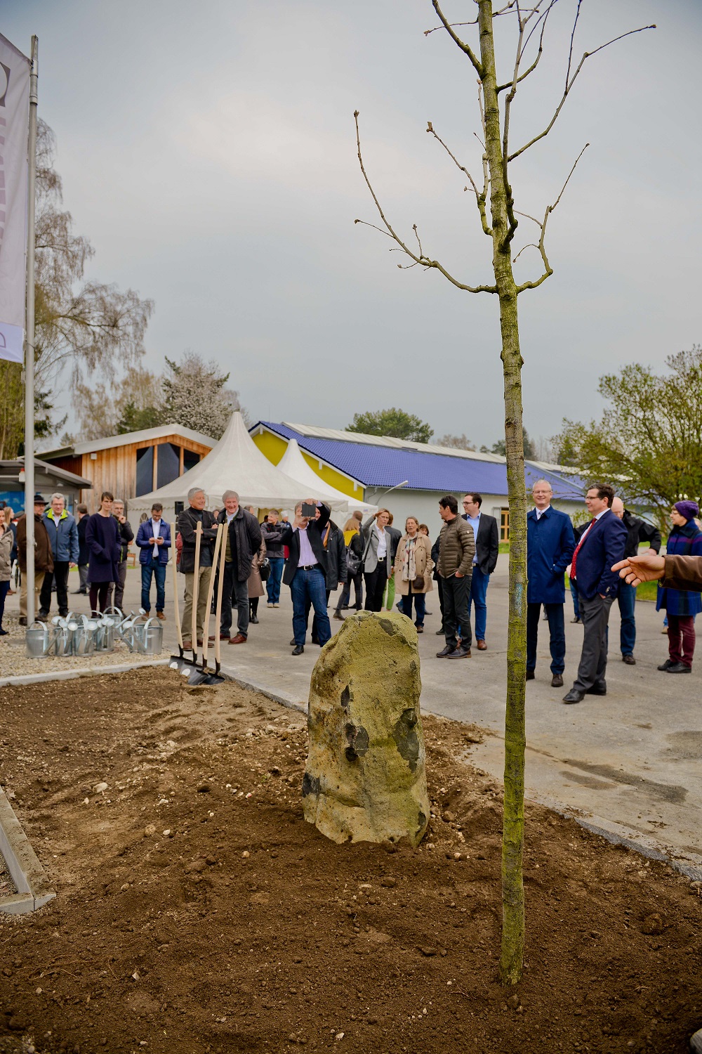 7_Eichenpfl. Nansenstr, (c) Stadt Traunreut, Foto Gastager, R. Winkler