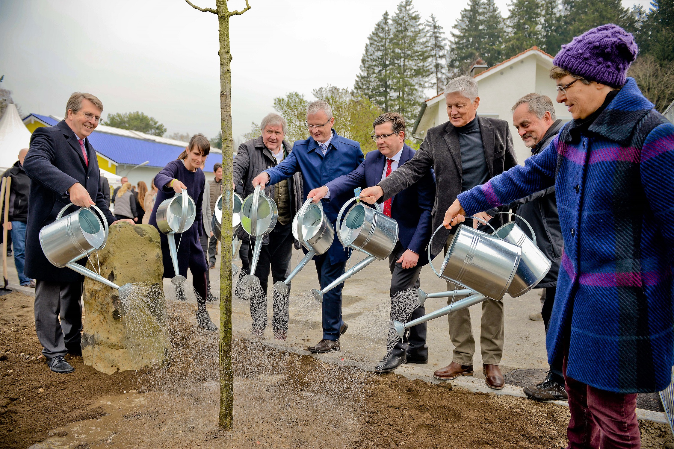 9_Eichenpfl. Nansenstr (c) Stadt Traunreut Foto Gastager R. Winkler