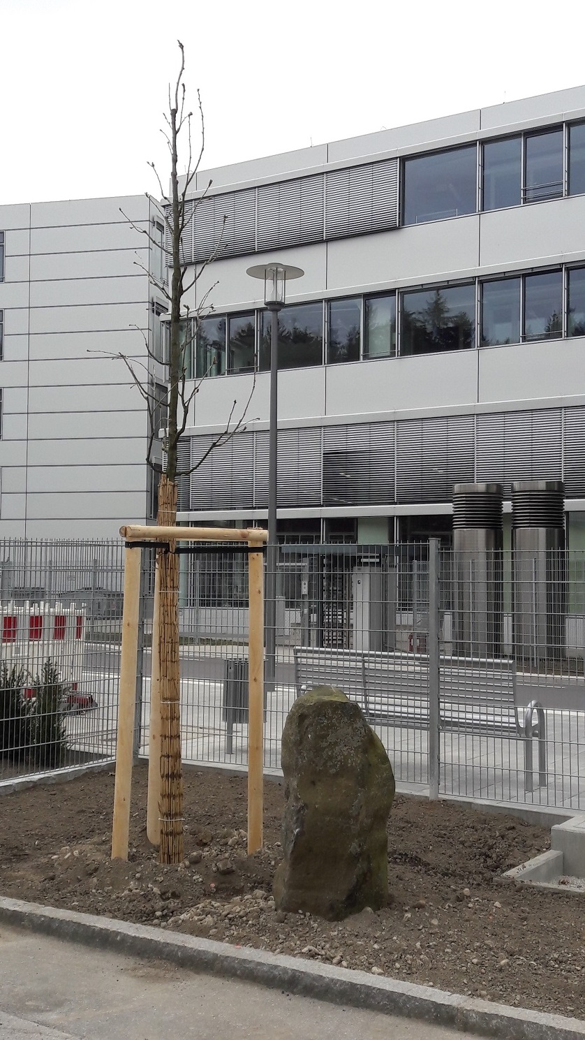 Eingang DASMAXIMUM_Eiche_2019-12-04