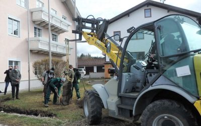 15-03-2021: Eichenpflanzung zu Ehren von Joseph Beuys in Altenmarkt a.d. Alz