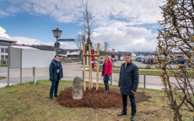 14-04-2021: Oak planting in honour of Joseph Beuys in Miesbach