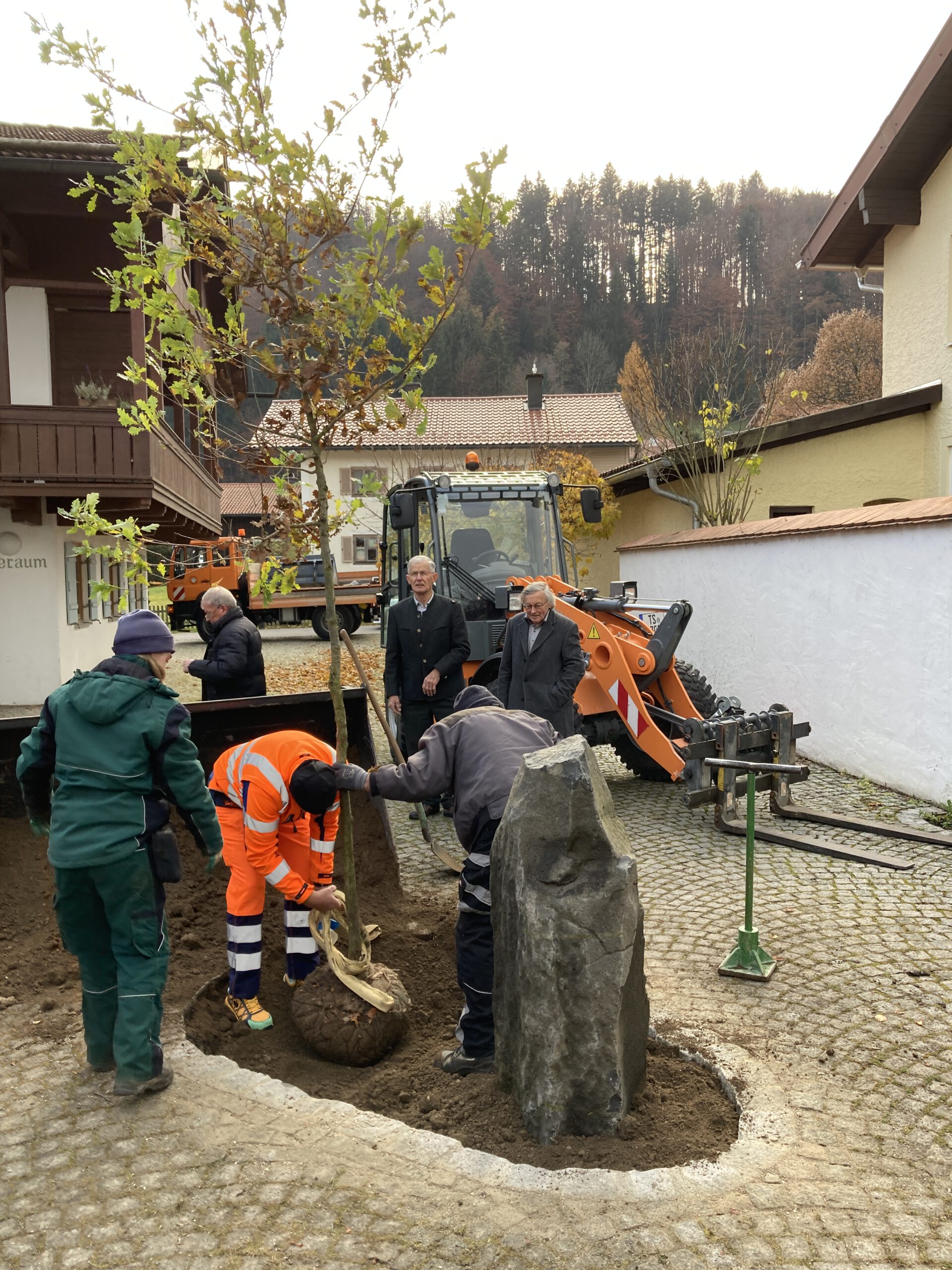 Eiche Hammer 2021-11-13, Foto BL (40)
