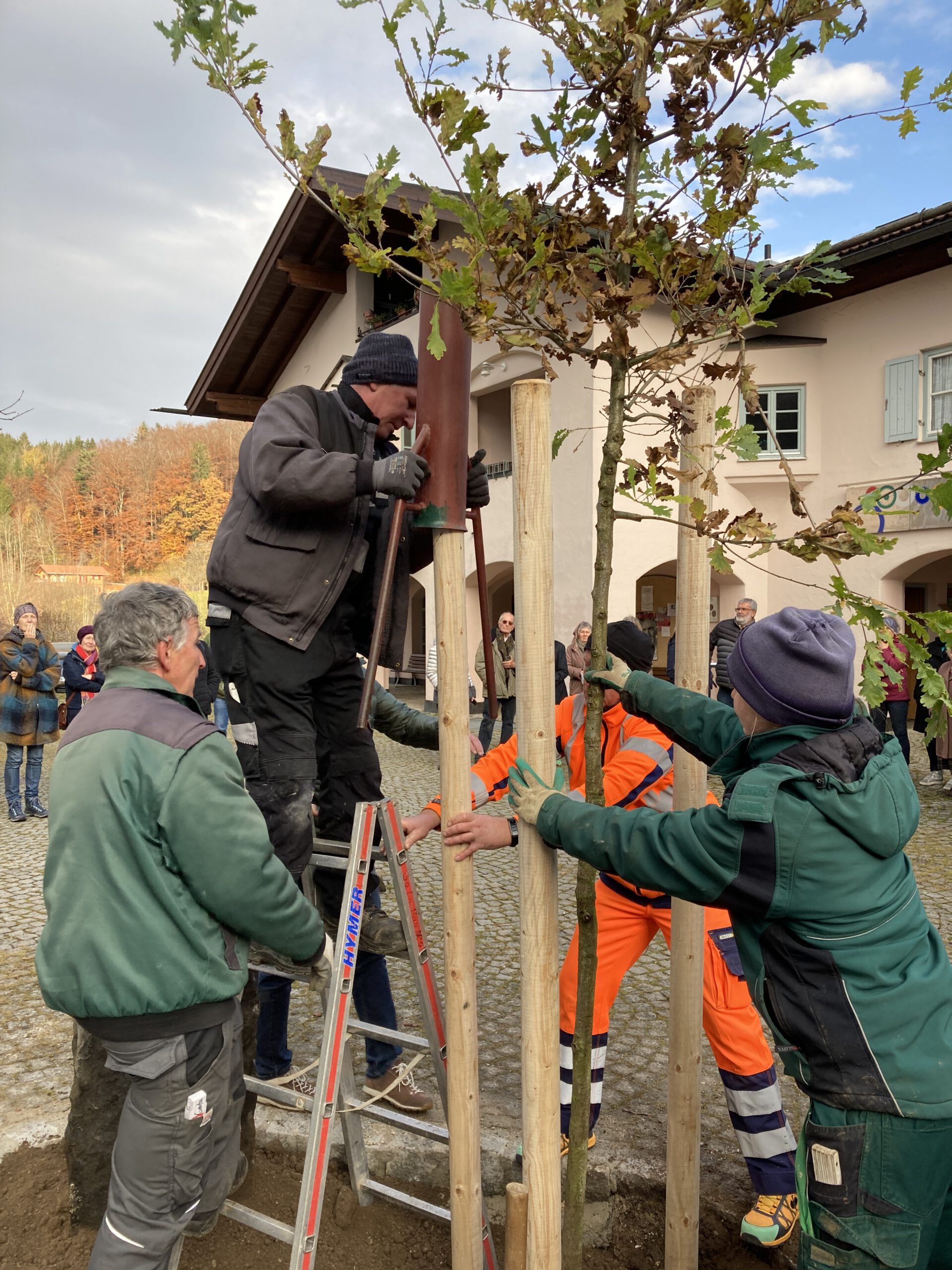 Eiche Hammer 2021-11-13, Foto BL (46)