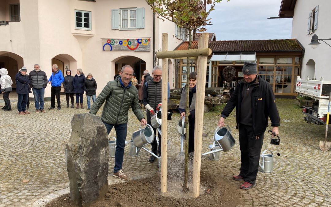 13-11-2021: Eichenpflanzung zu Ehren von Joseph Beuys in Siegsdorf