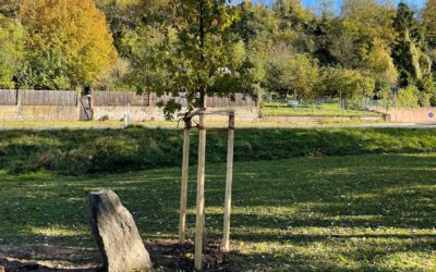 22-10-2021: Oak planting in honour of Joseph Beuys in Triefenstein