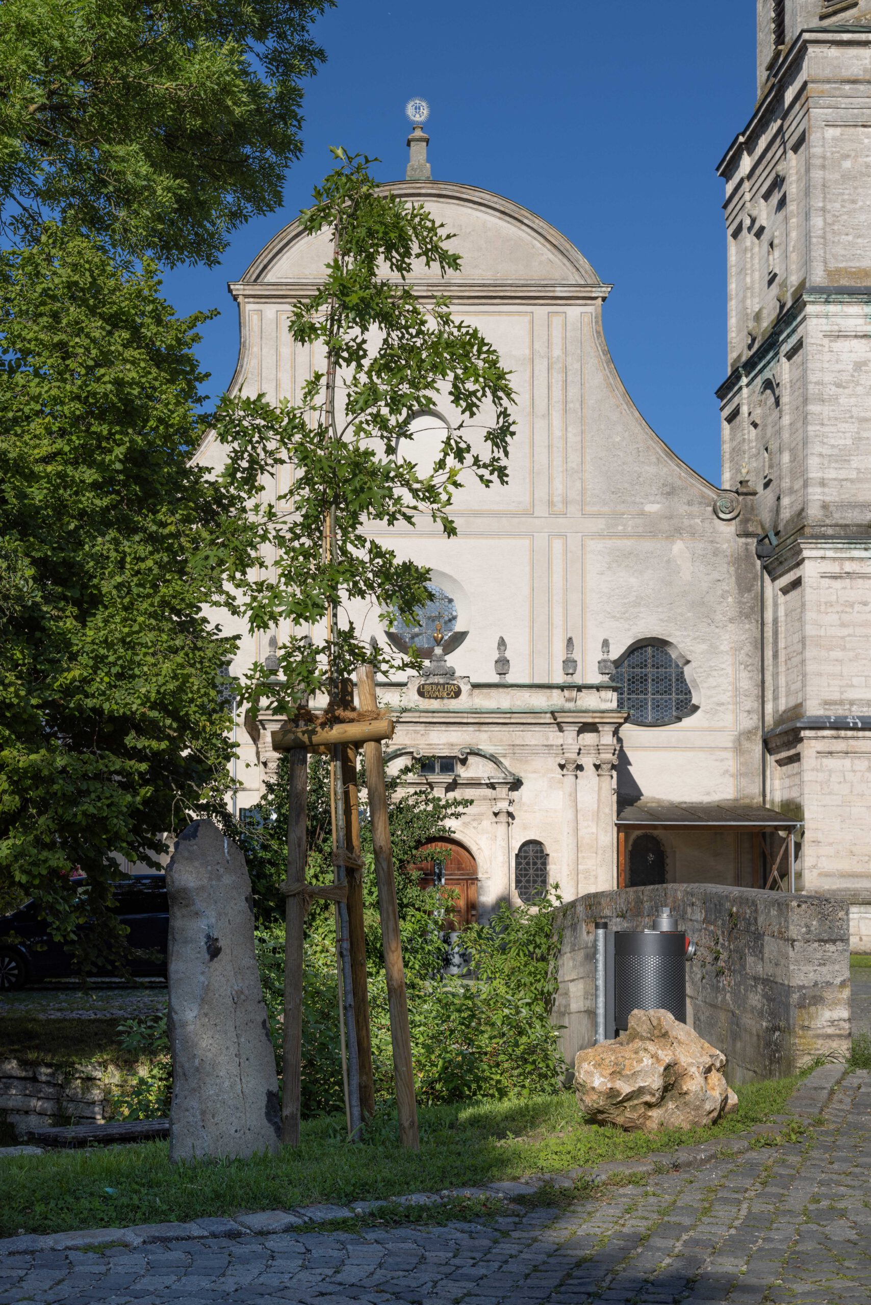 2022-07-03_Statusfoto Eiche Polling_Michael Jarnach_2